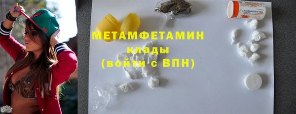 сатива Богданович
