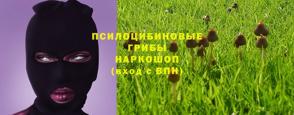 тгк Беломорск