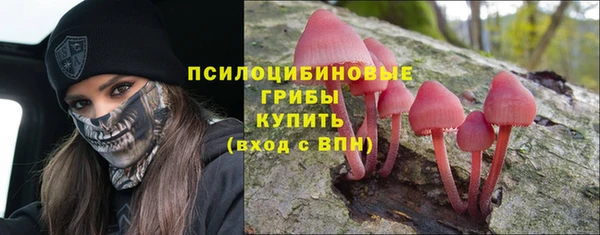 прущая мука Сафоново