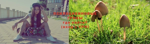 тгк Беломорск