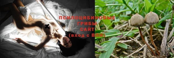 мяу мяу мука Белокуриха