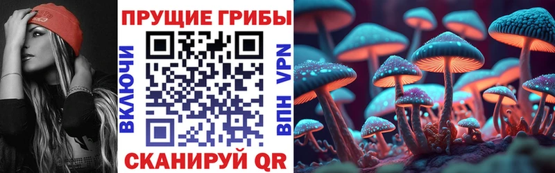 Галлюциногенные грибы Psilocybe  сколько стоит  Боготол 